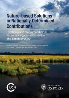 Nature-based Solutions in Nationally Determined Contributions