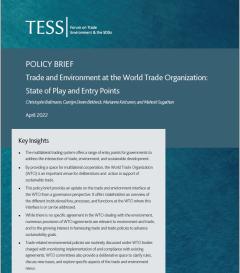 Trade and Environment at the World Trade Organization: State of Play and Entry Points