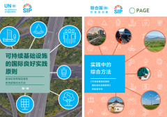 International good practices principles