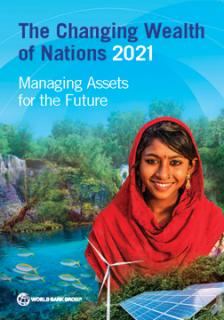 The Changing Wealth of Nations 2021: Managing assets for the future