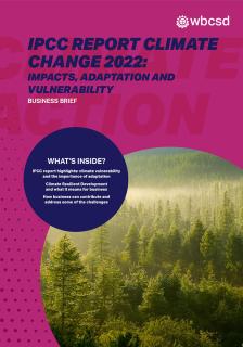 IPCC Report Business Brief_WBCSD
