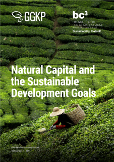 Natural Capital and the Sustainable Development Goals (SDGs)_GGKP