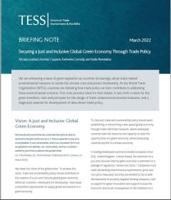 TESS Briefing Note Just and Inclusive