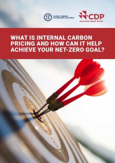 What is Internal Carbon Pricing and How Can It Help Achieve Your Net-Zero Goal?