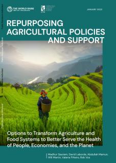 Repurposing Agricultural Policies and Support: Options to transform agriculture and food systems to better serve the health of people, economies, and the planet