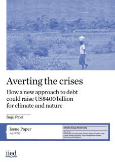 Averting the crises: How a new approach to debt could raise US$400 billion for climate and nature