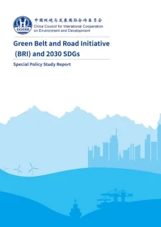 Green Belt and Road Initiative (BRI) and 2030 SDGs