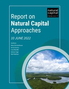 Report on Natural Capital Approaches