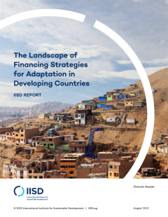 The Landscape of Financing Strategies for Adaptation in Developing Countries_IISD