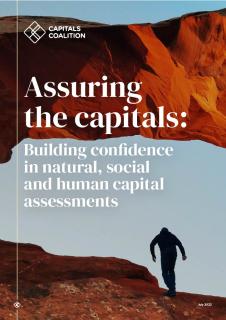 Assuring-the-capitals-Building-greater-confidence-in-natural-social-and-human-capital_CapsCoalition