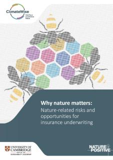 why_nature_matters_cambridge institute for sustainability leadership