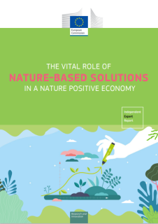 European Commission NbS