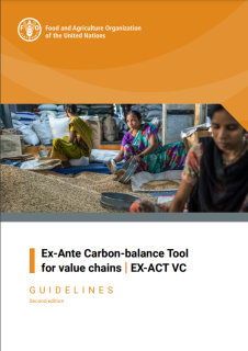 FAO Carbon-balance tool 