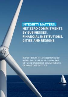 high-level_expert_group_integrity_matters_un