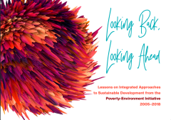 PEI-Lessons_Learned_2005-2018