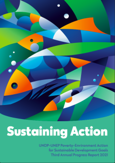 3rd_Annual_Progress_Report_2021