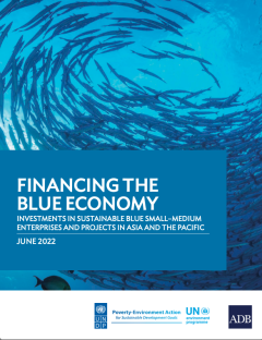Financing_the_Blue Economy