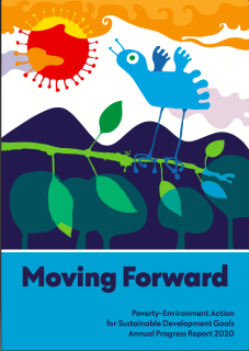 PEA_Annual _Progress _Report_2020_2