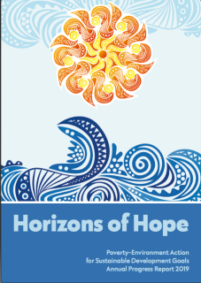 2019_Annual_Progress_Report_1July2020