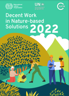 ILO Decent work