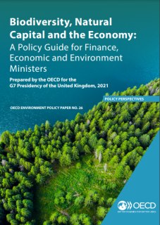 OECD policy