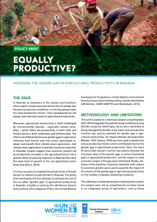 PEI-15_final rwanda policy brief-web_0-COVER