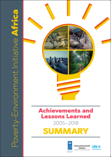 PEI-1_PEI_achvt_sum-cover.