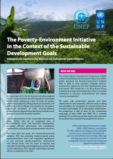 PEI-21_factsheet-PEI-ABhighres-v2-cover