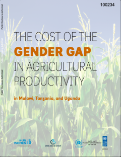 PEI-23_Cost-of-Gender-Gap-in-Agricultural-Productivity-in-Malawi-Tanzania-Uganda-cover