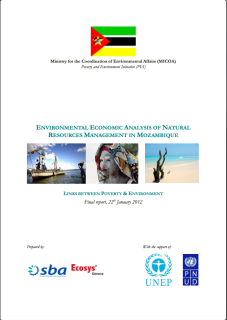 PEI-38_environmental economic analysis of natural resources management in mozambique_0_cover