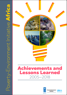 PEI-3_PEI_Africa_2005-2018_Lessons_learned_LR-cover