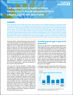 PEI-4_un-women-policy-brief-11-the-gender-gap-in-agricultural-productivity-in-sub-saharan-africa-en