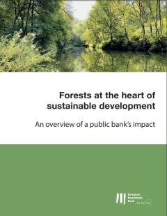 Forests at the Heart of Sustainable Development_EIB