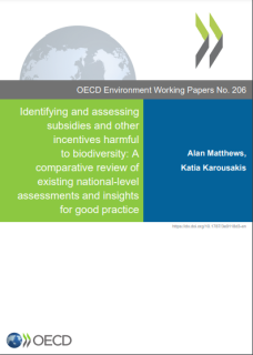 OECD Working Paper 206