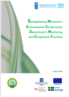 PEA-PEI-Others-14_UNDP ECD - Revised Final Report_ENG+MYN_CCD-cover