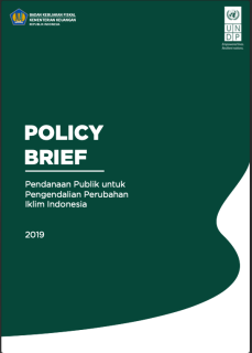 PEA-PEI-Others-18_INS-PolicyBriefPCFRecovered9April-cover