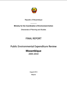 PEA-PEI-Others-25_Final Rep._Public Env.Exp_.Rev_Mozambique_2005-2010-cover