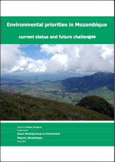 PEA-PEI-Others-30_Environmental priorities in Mozambique_current status & future challenges-cover