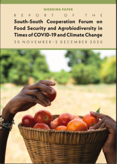 PEA-PEI-Others-4_South-South_Coop_Forum 2020_report-final-cover