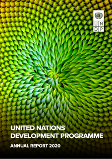 PEA-PEI-Others-8_UNDP-Annual-Report-2020-en-cover