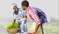 PEA - LESSONS LEARNT REPORT - COVER