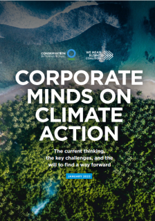 Corporate Minds on Climate Action