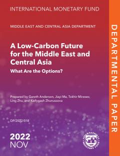 A Low-Carbon Future for the Middle East and Central Asia What Are the Options?