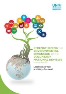 Strengthening the Environmental Dimension of the Voluntary National Reviews in Asia-Pacific