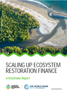 Scaling Up Ecosystem Restoration Finance A Stocktake Report_WB