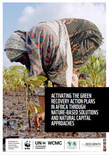 AfDB_Activating_Green_Recovery_Cover