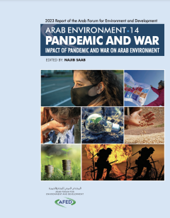 Impact of Pandemic and War on Arab Environment_AFED