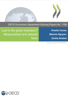 Lost in the green transition? Measurement and stylized facts
