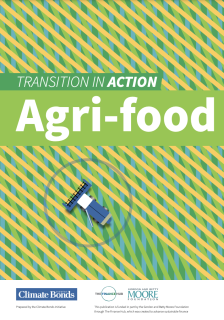 Transition in action