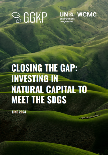 Report cover - rolling green hills with "Closing the Gap: Investing in natural capital to meet the SDGs"